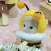 miiiの画像