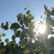 はるんちの画像