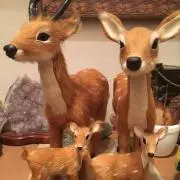しかももの画像