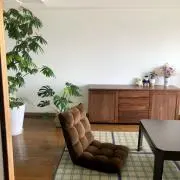 琥珀の画像