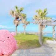 ももも / 即購入okです( ¨̮ )の画像