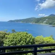 starの画像