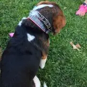 たいむの画像
