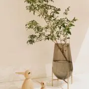 lulusanの画像