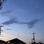 ゆの画像