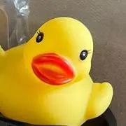 あひるちゃんの画像