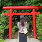 ワカメの画像