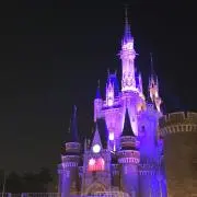 ANA 羽田 宮古島 限定フライトタグ - メルカリ