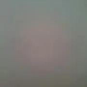 くまたんたん