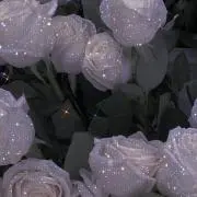 Tsuの画像