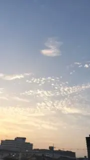 アザトスの画像