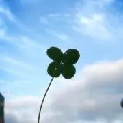 もも