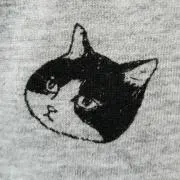 ねこ