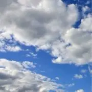 小の画像