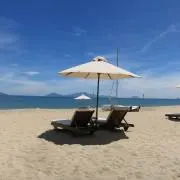 すずもくの画像