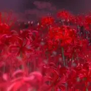沙華～プロフ必読～