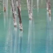 KUU