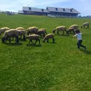 RHの画像