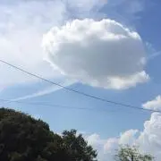 チャコ