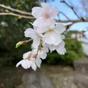 ななみ⭐︎の画像