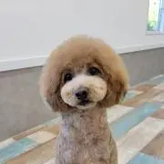 kina