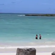 kotamaの画像