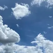 RYの画像