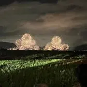 つきうさぎの画像