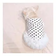 あんのんこの画像