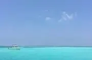 オレンジ