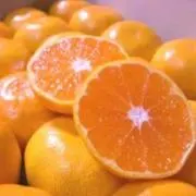 オレンジマン☆の画像