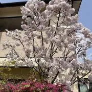 moto0313の画像