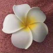 まゆゆの画像