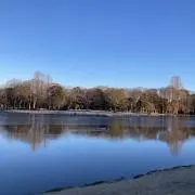 bobyorke4の画像