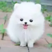 m&y＊の画像