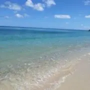 あふの画像