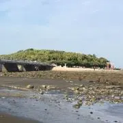 じーのの画像