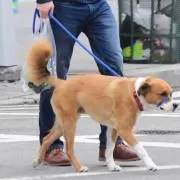 エヴァの画像