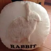 もったこの画像