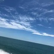 Haruの画像