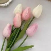 ななみ