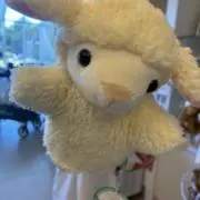 ぱるぷの画像