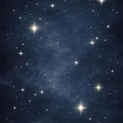 楓