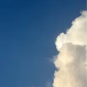 Duckの画像