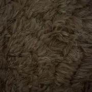 Rの画像