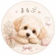 まるぷの画像