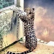 KENの画像