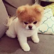 ぽ