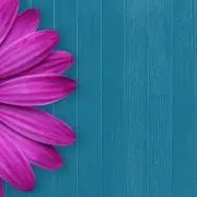 piromiの画像