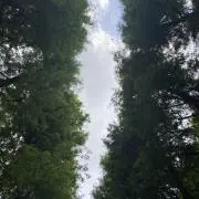 すほかの画像